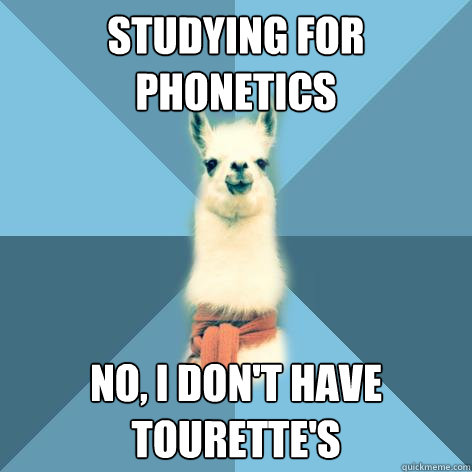 Studying for phonetics No, I don't have Tourette's - Studying for phonetics No, I don't have Tourette's  Linguist Llama