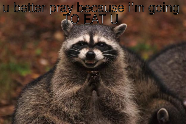 U BETTER PRAY BECAUSE I'M GOING TO EAT U  Evil Plotting Raccoon