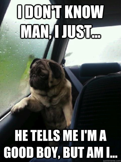 I don't know man, I just... he tells me i'm a good boy, but am i... - I don't know man, I just... he tells me i'm a good boy, but am i...  Introspective Pug