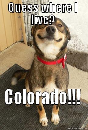 GUESS WHERE I LIVE? COLORADO!!! Good Dog Greg