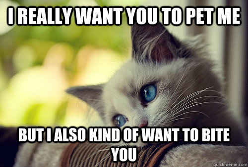 I really want you to pet me But I also kind of want to bite you - I really want you to pet me But I also kind of want to bite you  First World Problems Cat