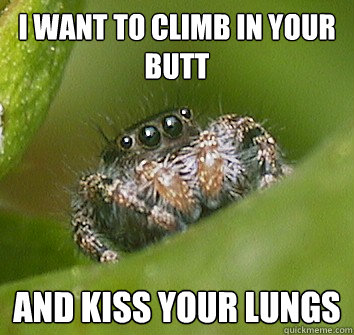 I want to climb in your butt and kiss your lungs  Misunderstood Spider