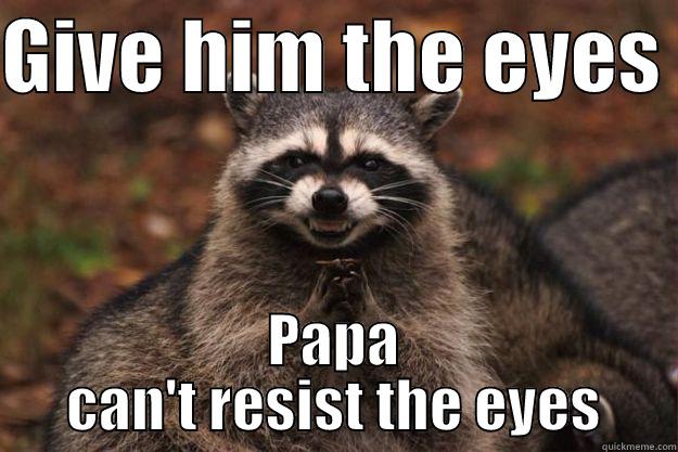 GIVE HIM THE EYES  PAPA CAN'T RESIST THE EYES Evil Plotting Raccoon