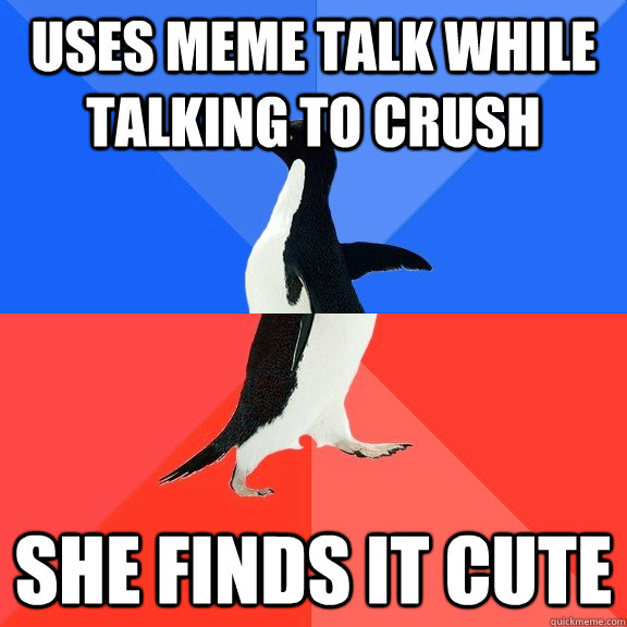 Uses meme talk while talking to crush she finds it cute - Uses meme talk while talking to crush she finds it cute  Socially Awkward Awesome Penguin