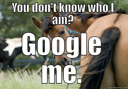 YOU DON'T KNOW WHO I AM? GOOGLE ME. Misc