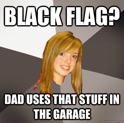 Black Flag? Dad uses that stuff in the garage  Musically Oblivious 8th Grader