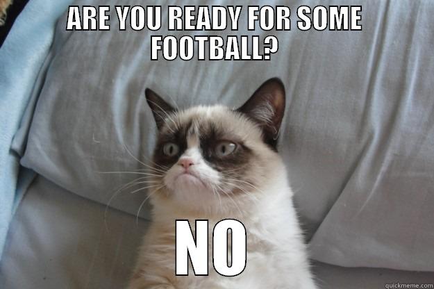 Grump Cat and Football - ARE YOU READY FOR SOME FOOTBALL? NO Grumpy Cat