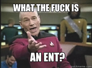 What the fuck is an ent?  Annoyed Picard