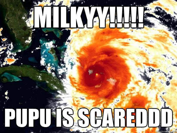 MILKYY!!!!! PUPU IS SCAREDDD - MILKYY!!!!! PUPU IS SCAREDDD  Vengeful mother nature