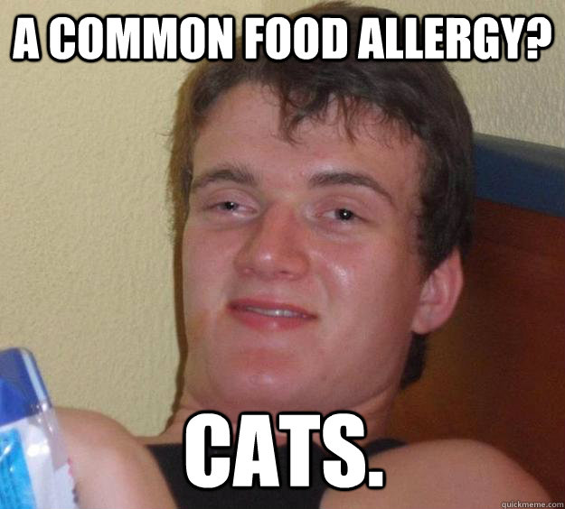 A common food allergy? Cats.  10 Guy