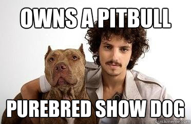 owns a pitbull purebred show dog  