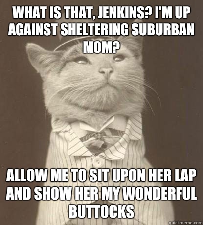 what is that, Jenkins? I'm up against sheltering suburban mom? allow me to sit upon her lap and show her my wonderful buttocks - what is that, Jenkins? I'm up against sheltering suburban mom? allow me to sit upon her lap and show her my wonderful buttocks  Aristocat