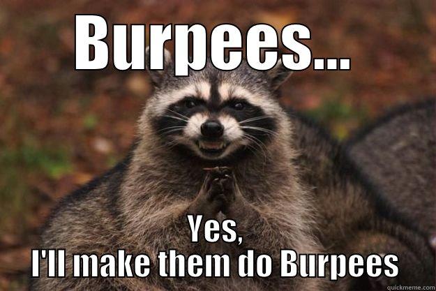BURPEES... YES, I'LL MAKE THEM DO BURPEES Evil Plotting Raccoon
