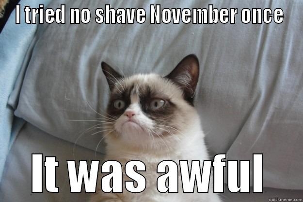 I TRIED NO SHAVE NOVEMBER ONCE IT WAS AWFUL Grumpy Cat