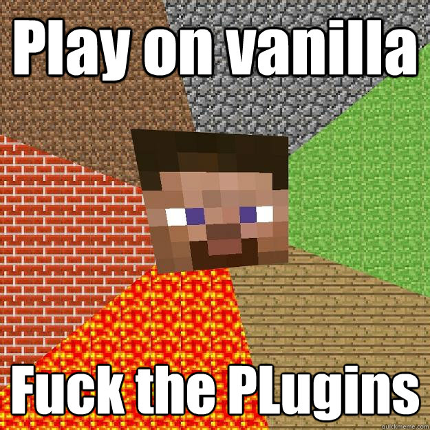 Play on vanilla  Fuck the PLugins  Minecraft