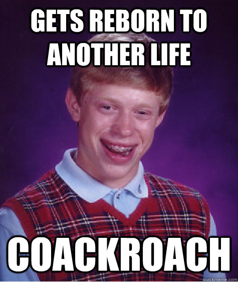 GETS REBORN TO ANOTHER LIFE COACKROACH  Bad Luck Brian