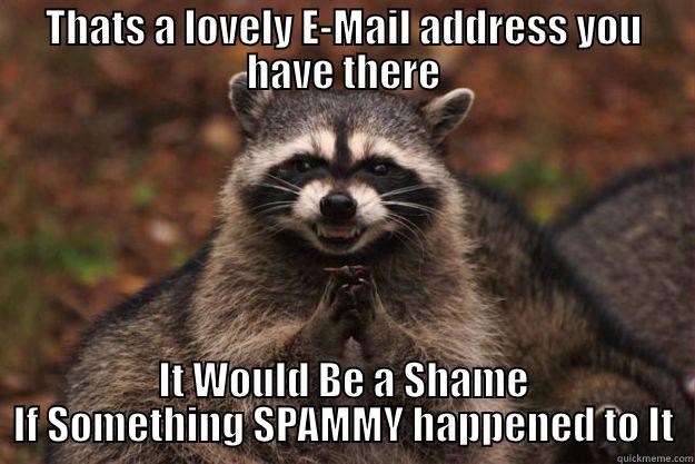 THATS A LOVELY E-MAIL ADDRESS YOU HAVE THERE IT WOULD BE A SHAME IF SOMETHING SPAMMY HAPPENED TO IT Evil Plotting Raccoon