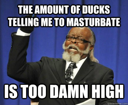 The amount of ducks telling me to masturbate  is too damn high  