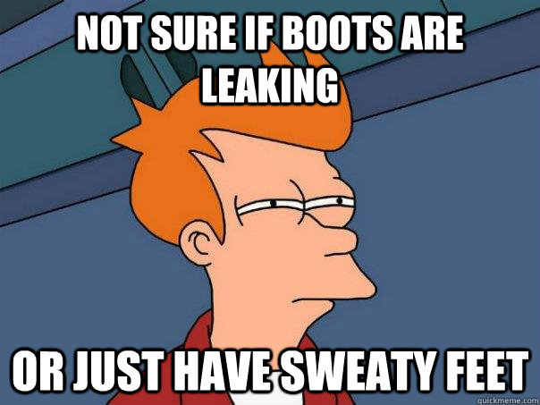 Not sure if boots are leaking Or just have sweaty feet - Not sure if boots are leaking Or just have sweaty feet  Futurama Fry