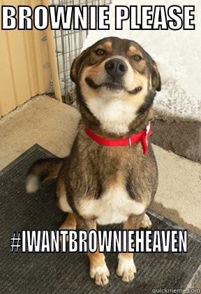 BROWNIE HEAVEN - BROWNIE PLEASE  #IWANTBROWNIEHEAVEN Good Dog Greg