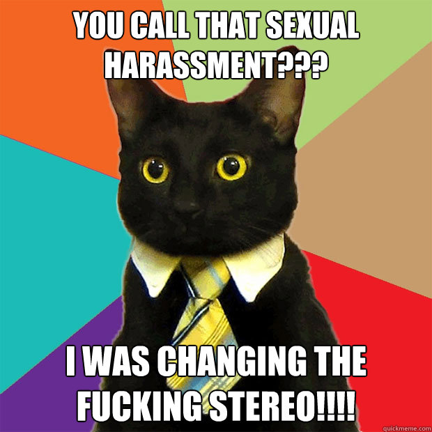 you call that sexual harassment??? I was changing the fucking stereo!!!!  Business Cat