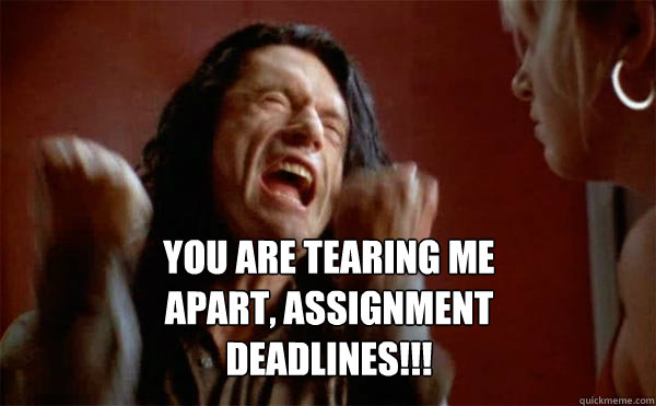 You are tearing me apart, ASSIGNMENT DEADLINES!!!  Tommy Wiseau