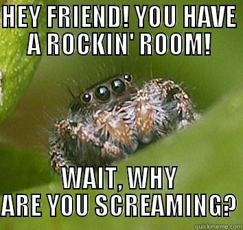 HEY FRIEND! YOU HAVE A ROCKIN' ROOM! WAIT, WHY ARE YOU SCREAMING? Misunderstood Spider