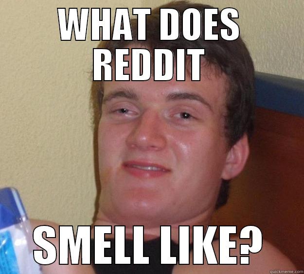 WHAT DOES REDDIT SMELL LIKE? 10 Guy