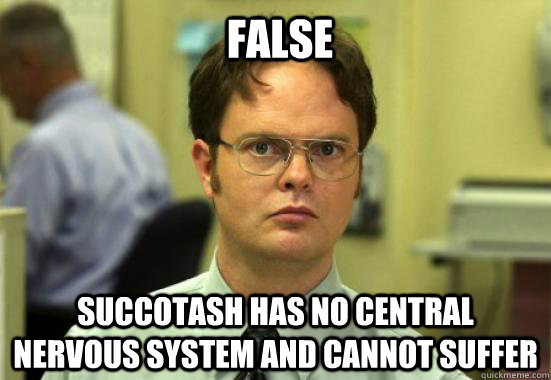  Succotash has no central nervous system and cannot suffer False -  Succotash has no central nervous system and cannot suffer False  Dwight Shrutes Facts