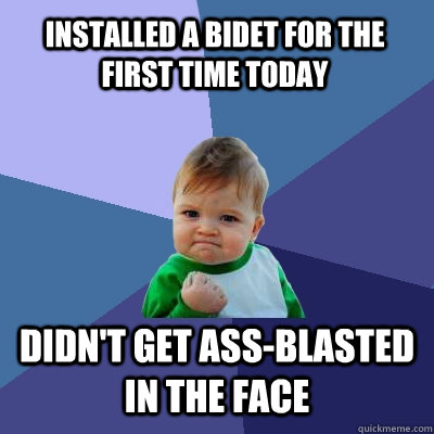 installed a bidet for the first time today didn't get ass-blasted in the face  Success Kid