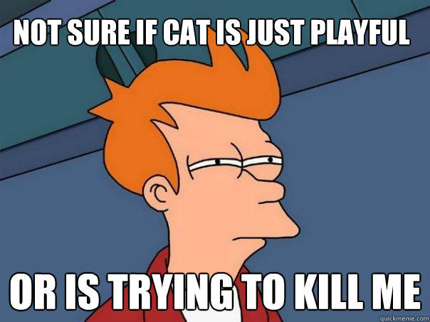 NoT SURE IF CAT IS JUST PLAYFUL or is trying to kill me  Futurama Fry