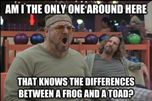 Am I the only one around here that knows the differences between a frog and a toad?  Angry Walter