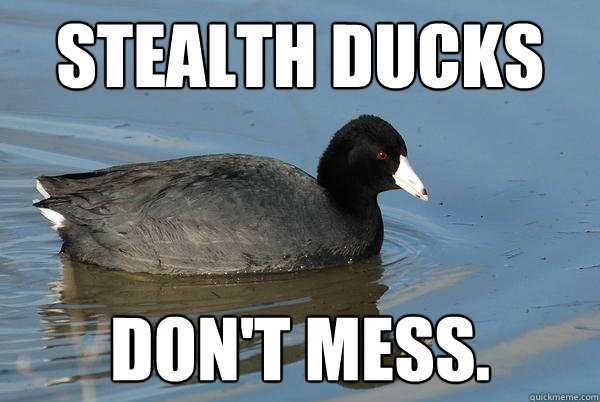 stealth ducks don't mess. - stealth ducks don't mess.  Stealth Duck