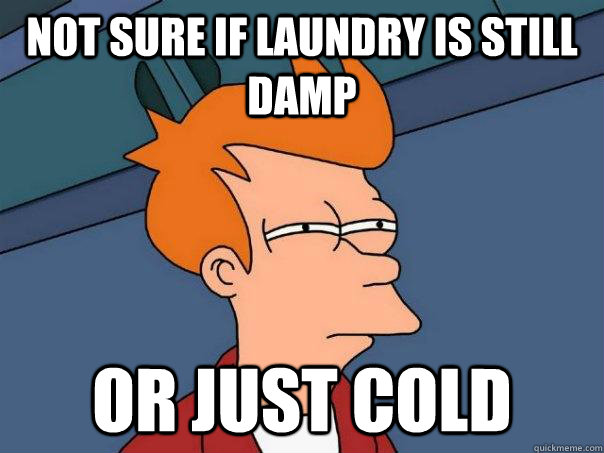 Not sure if laundry is still damp Or just cold  Futurama Fry