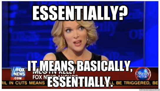 Essentially? It means basically, essentially. - Essentially? It means basically, essentially.  Euphemism Megyn Kelly