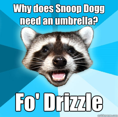 Why does Snoop Dogg need an umbrella? Fo' Drizzle - Why does Snoop Dogg need an umbrella? Fo' Drizzle  Lame Pun Coon