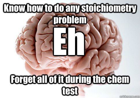 Know how to do any stoichiometry problem Forget all of it during the chem test  Eh - Know how to do any stoichiometry problem Forget all of it during the chem test  Eh  Scumbag Brain