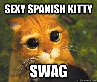 SEXY SPANISH KITTY SWAG  Puss in boots