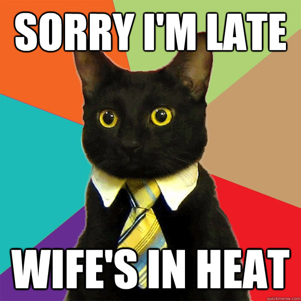 sorry i'm late wife's in heat  Business Cat