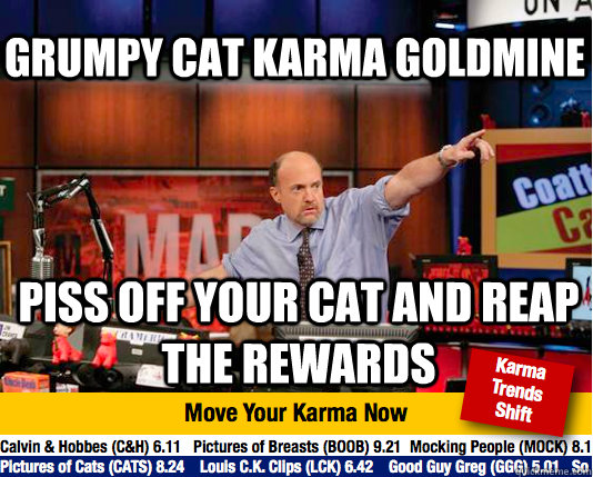 Grumpy cat karma goldmine piss off your cat and reap the rewards - Grumpy cat karma goldmine piss off your cat and reap the rewards  Mad Karma with Jim Cramer