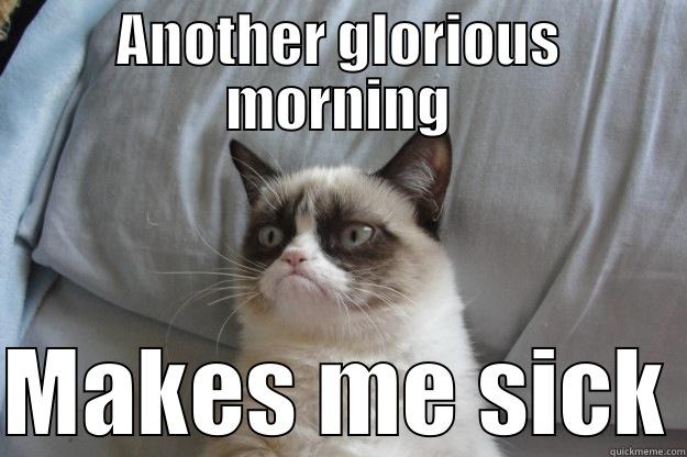 ANOTHER GLORIOUS MORNING MAKES ME SICK Grumpy Cat