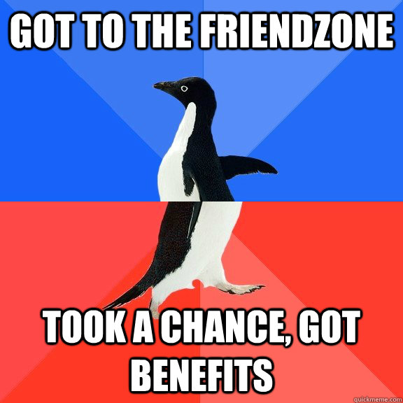 Got to the Friendzone Took a chance, got benefits  Socially Awkward Awesome Penguin