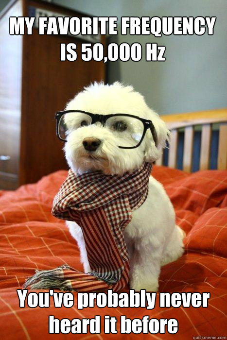 MY FAVORITE FREQUENCY IS 50,000 Hz You've probably never heard it before  Hipster Dog