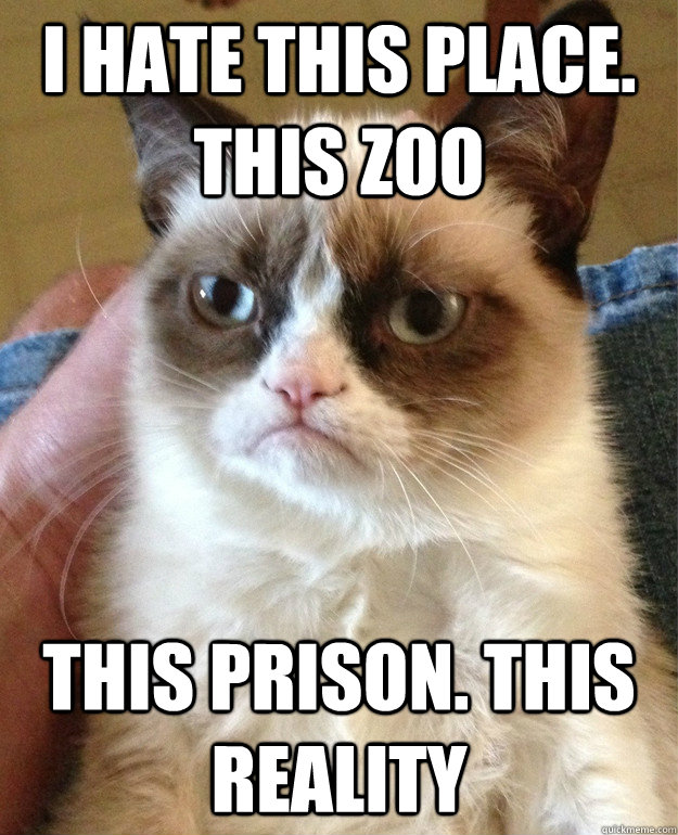 I hate this place. This zoo This prison. This reality - I hate this place. This zoo This prison. This reality  Misc