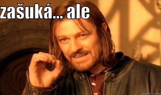 ZAŠUKÁ... ALE                                             Boromir