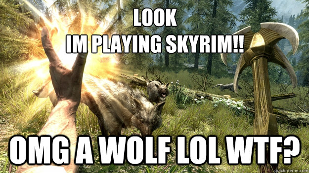 LOOK
IM PLAYING SKYRIM!! OMG A WOLF LOL WTF?  