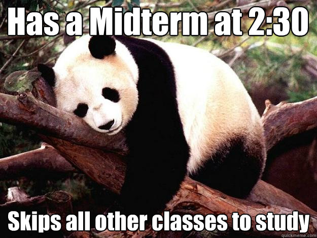 Has a Midterm at 2:30 Skips all other classes to study  Procrastination Panda