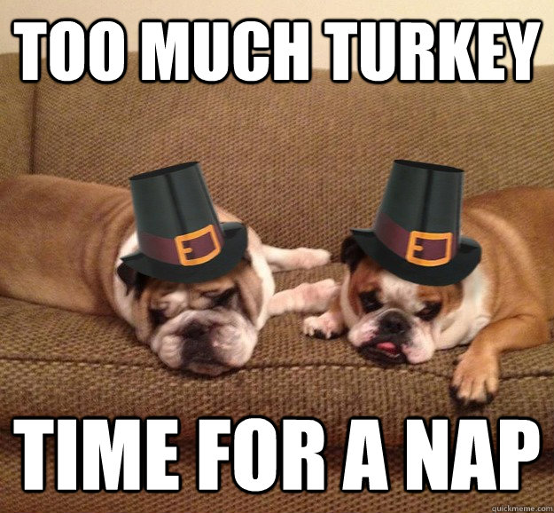 Too Much Turkey Time for a Nap - Too Much Turkey Time for a Nap  Misc