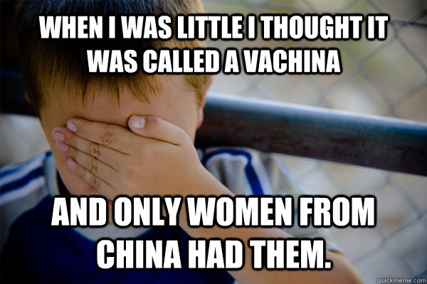 When i was little I thought it was called a vachina and only women from China had them.  Confession kid