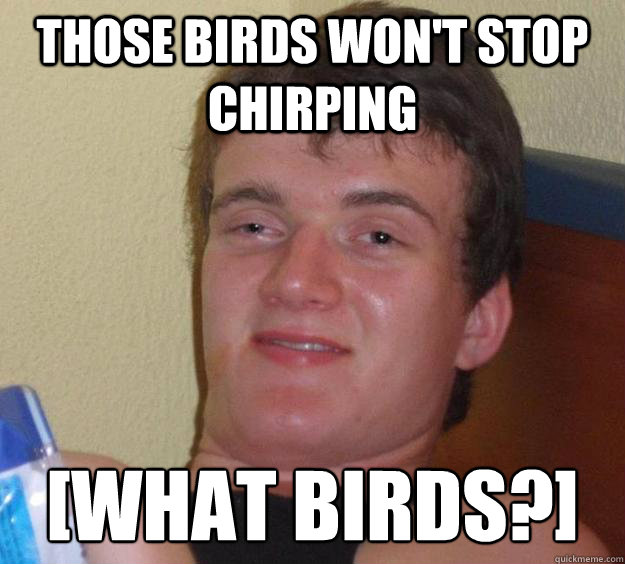 Those birds won't stop chirping  [What Birds?]  10 Guy